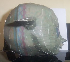 oco2.jpg