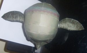oco3.jpg