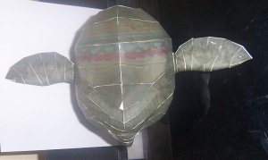 oco4.jpg