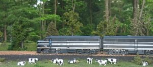 275086771603_0_ALB[1].jpg
