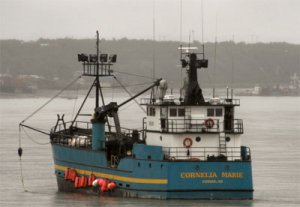 GW400H276.jpg