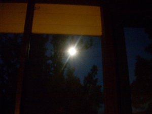 DSCN2408.JPG