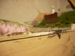 DSCN2572.JPG