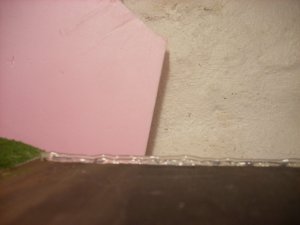 DSCN2573.JPG
