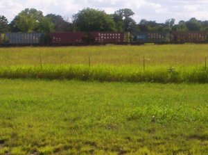 100_1616.jpg