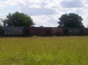 100_1620.jpg