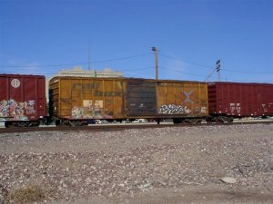 bn250443_01.jpg
