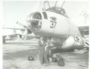 tim -p-2.jpg