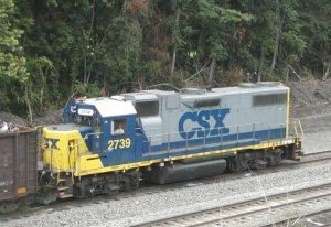 another picture of the local at mexico.jpg