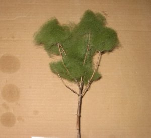 trees 002.jpg