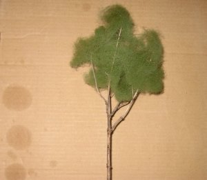 trees 003.jpg
