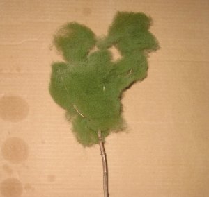 trees 005.jpg