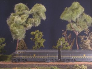 trees 012.jpg