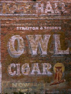 owl.jpg