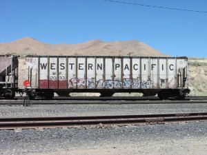 Picture 005.jpg