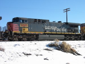 Picture 117.jpg