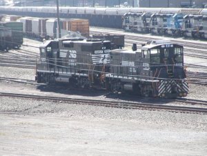 rose yard.jpg