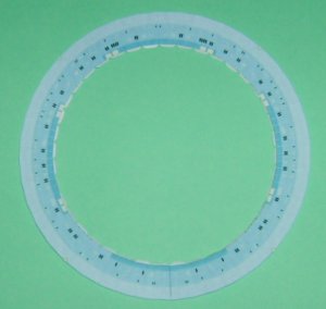 DSCI0492.jpg