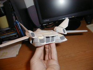 09060270.jpg