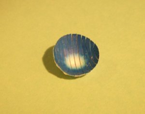 DSCI0035.jpg