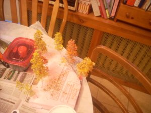 DSCN3055.JPG