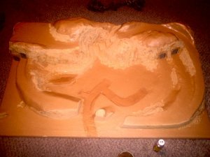 FirstCoat.jpg