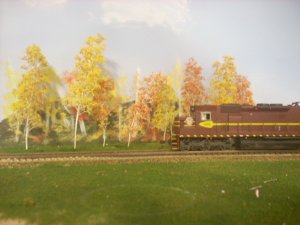 DSCN3061.JPG