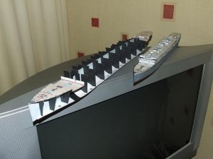 DSCF0491.JPG