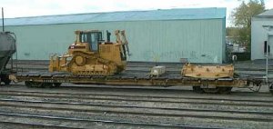 catt on a flat-1.jpg
