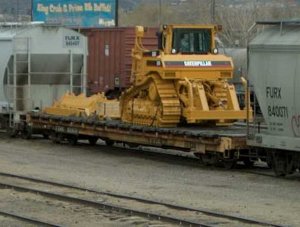 catt on a flat-2.jpg