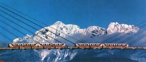 bcer020.jpg