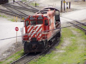p1010011.jpg