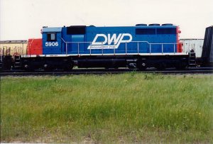 dwp5906.jpg