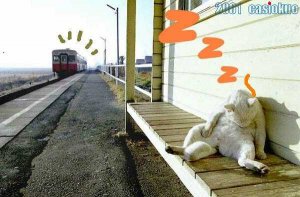 sleep05.jpg