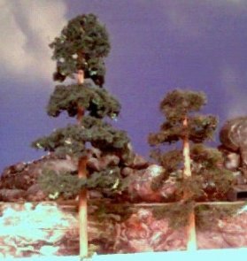 trees1.jpg