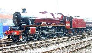 5690.jpg