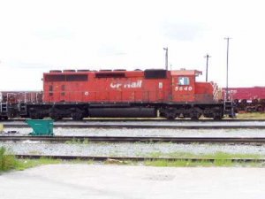 cp1.jpg