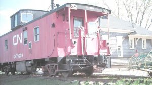 pic5.jpg