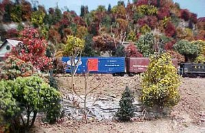 tgr1.jpg