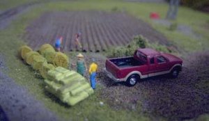 farming1.jpg