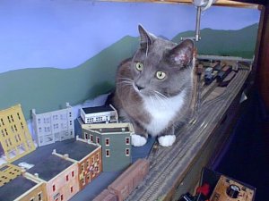 image064.jpg