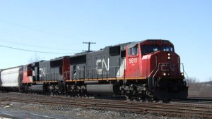 cn-5619.jpg
