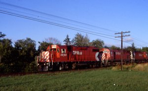cp-3043.jpg