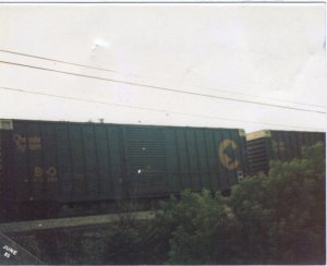 11-7-2008 9;54;49 PM.jpg