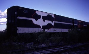 car-go-rail.jpg
