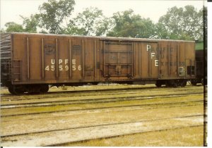 Jersey Southern 026.jpg