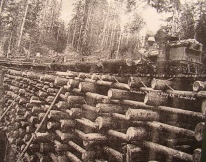 Log Crib real.jpg