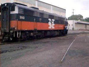 fl9.jpg
