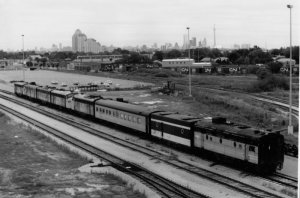 mimico1.jpg
