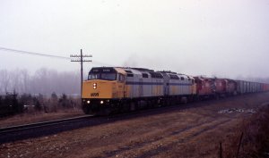 via-6458.jpg